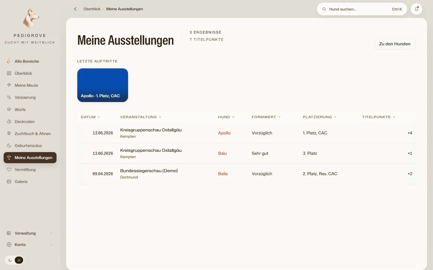 Meine Ausstellungen