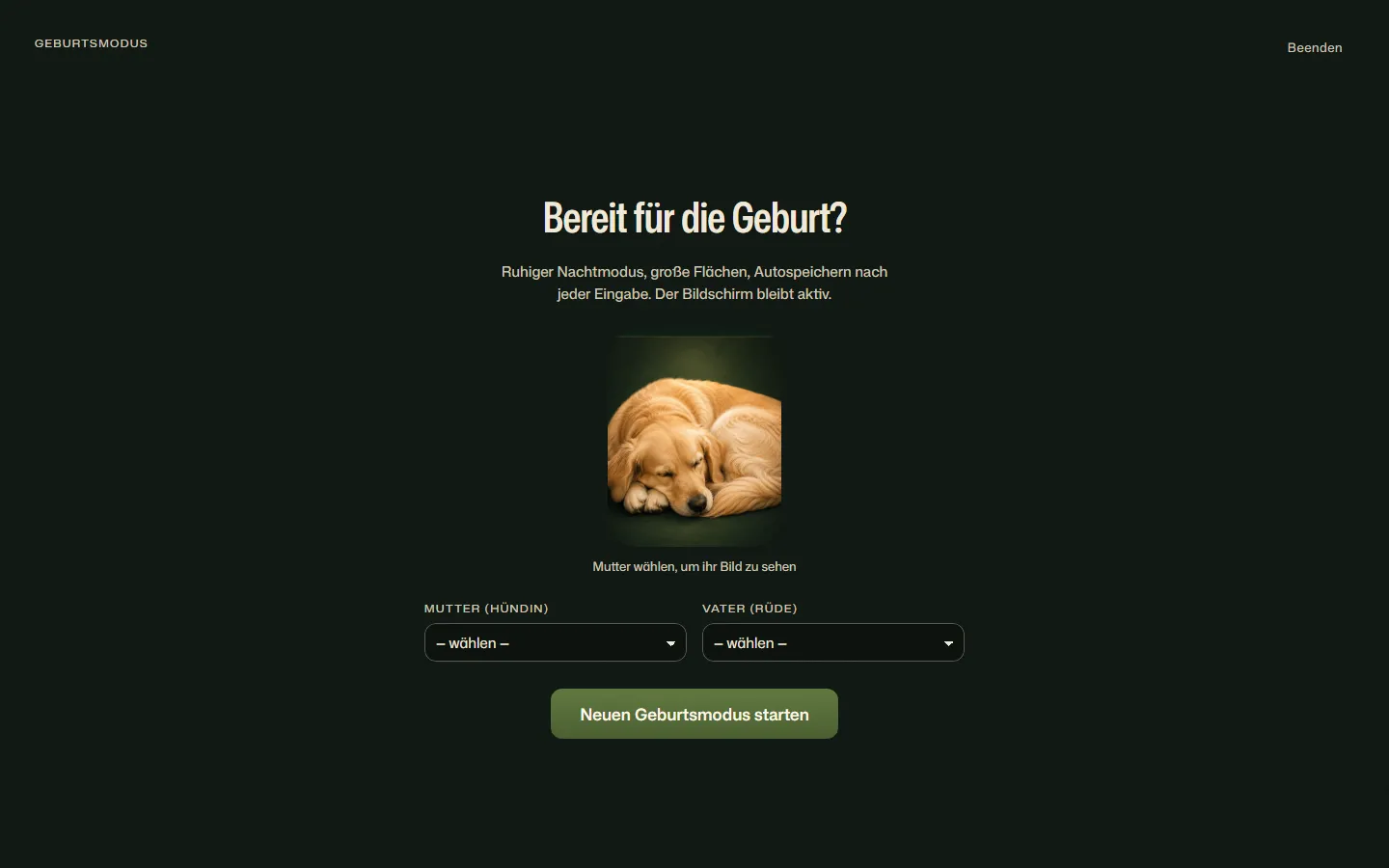 Geburtsmodus